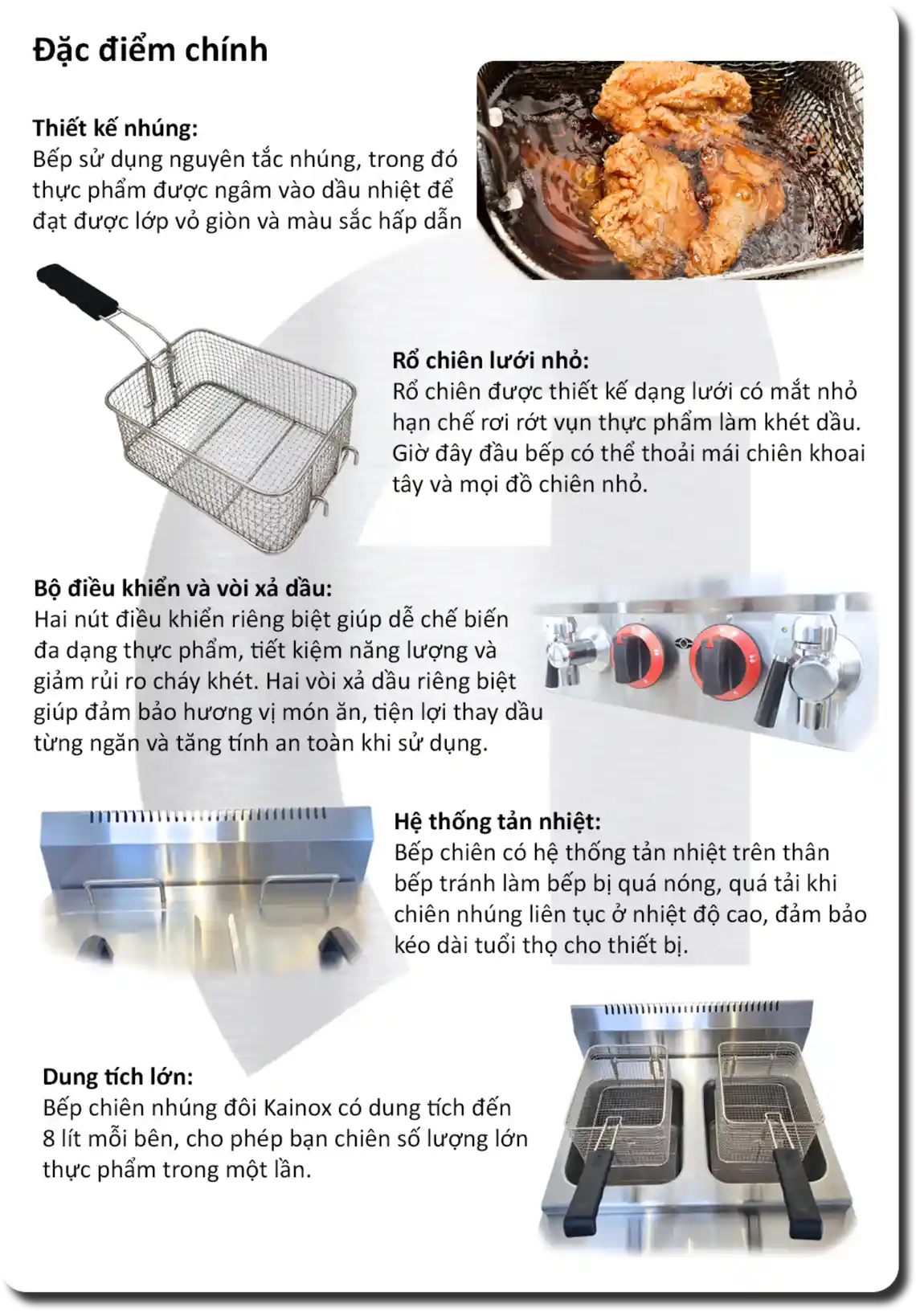 bếp chiên nhúng đôi dùng gas