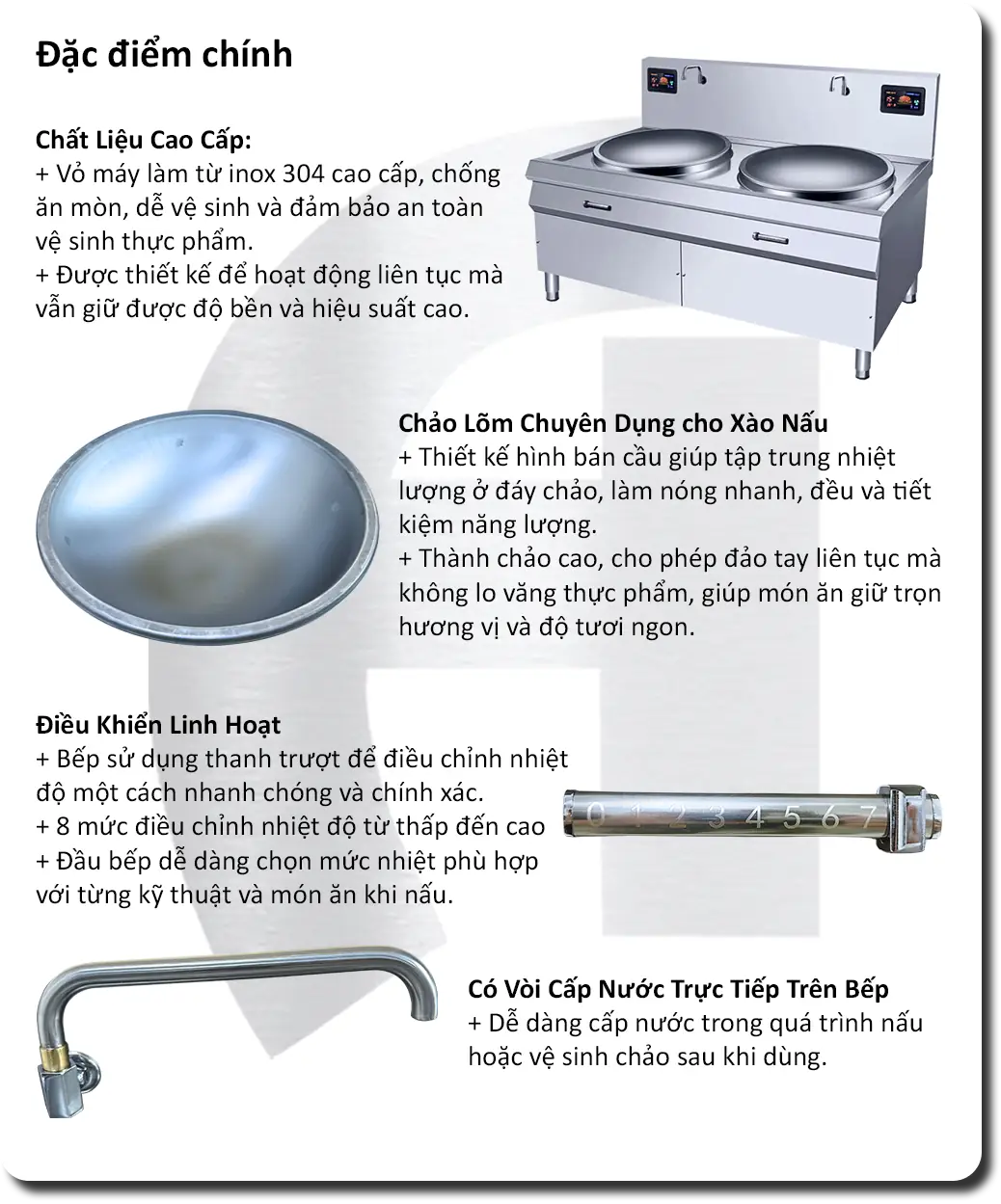 Bếp Chảo Điện Đôi Xào Trực Tiếp